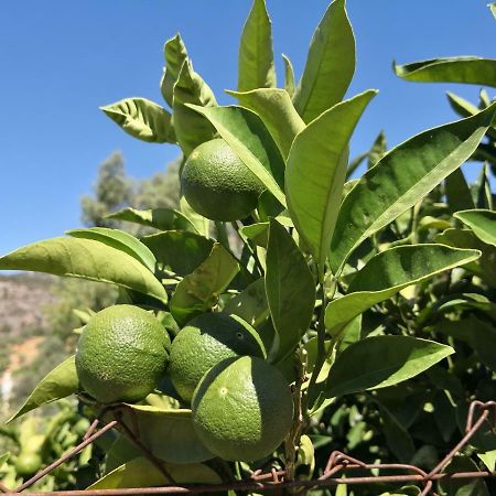 B&B Villa Deseada Periana Εξωτερικό φωτογραφία