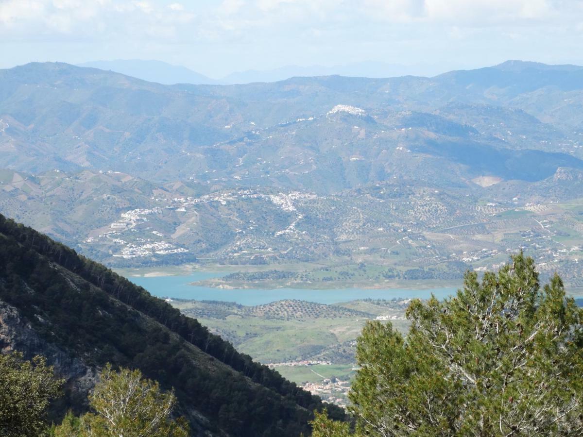 B&B Villa Deseada Periana Εξωτερικό φωτογραφία