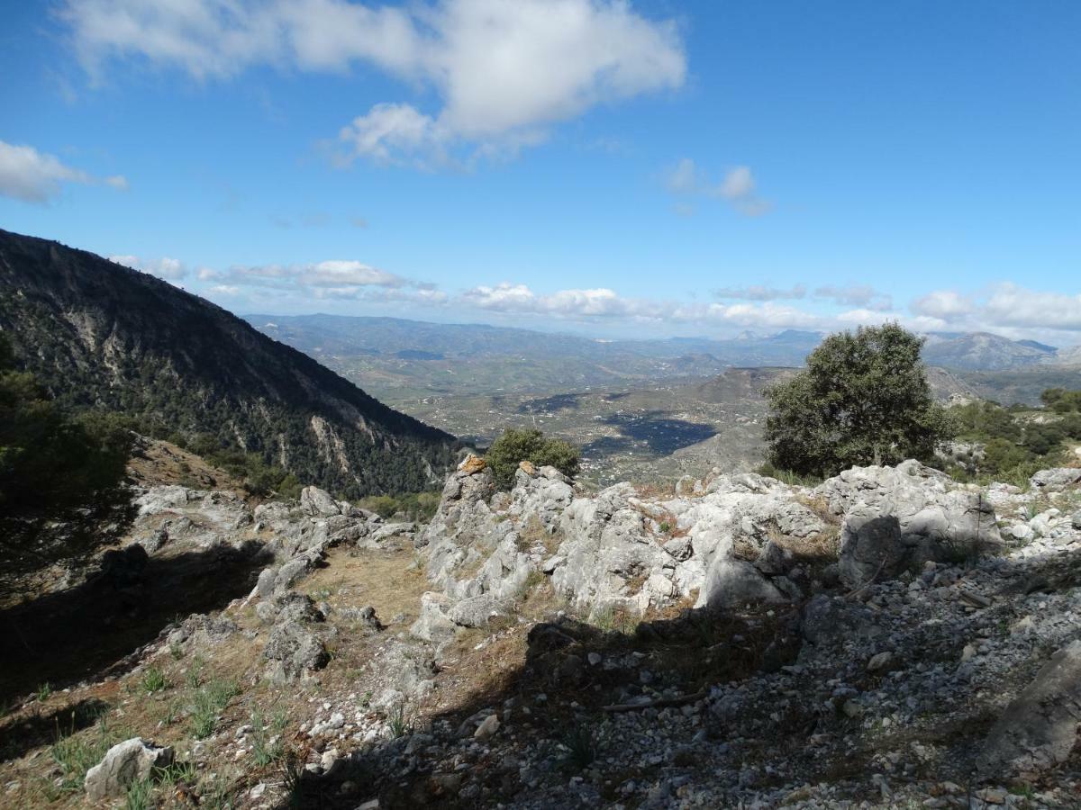 B&B Villa Deseada Periana Εξωτερικό φωτογραφία